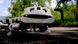 Salamander robot is the real deal | CNBC International