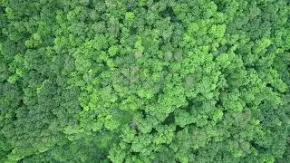 199 Backer Road Beaver Dams, NY 14812