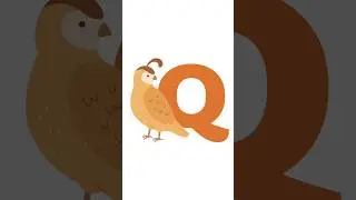 Alphabet | Letter Q | phonics #forkids #alphabet #learning #funwithlearning #kids #nurseryrhymes