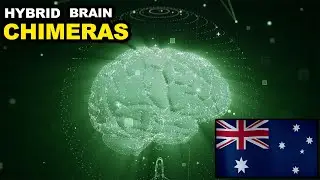 Chimera Mind: The Fusion of Human-Mouse Brain Cells and AI in DishBrain