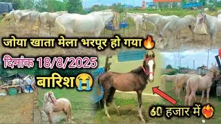जोया खाता मेला भरपूर मात्रा में भर गया Hai😱 पशु बहुत हैं खरीददारी बहुत कम Hai !! मेला 2025 ‼️