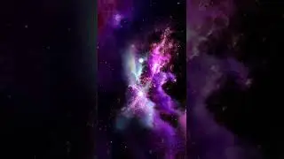 В ЛЮБВИ НЕТ СТРАХА
