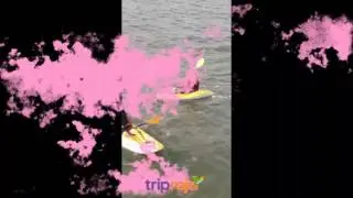 Adventurous KAYAKING in Goa