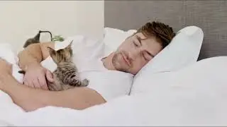Dreamfoam Bedding Doze Mattress ✅ Dreamfoam Bedding Doze 11 Inch Plush Pillow Top Mattress Review!+