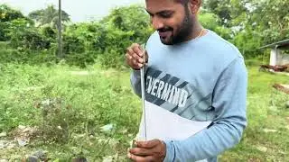 Bongu chicken in my village V1