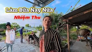 Mấy Chú Làm Bữa Nay Nữa Là Xong Và Nấu Bữa Cơm Chưa Cho Mấy Chú