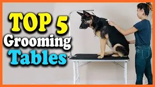 ✅Top 5 Best Dog Grooming Tables in 2025