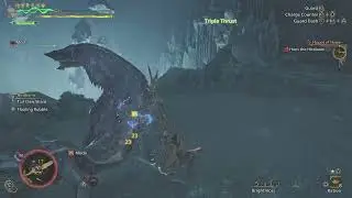 Hirabami - Monster Hunter Wilds