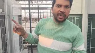 DAUKIN VRV X Compreshar ki ground testing #vrvideo #electrical #daikinvrv 