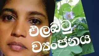 නිවැරදිව ගැමි රසට හදන එළබටු මාලුව 👍#foodrecipes #recipes #cookingideas# https://youtu.be/wn3F_8Ws9MU