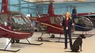 Learn to Fly a Helicopter with Us | Independent Helicopters