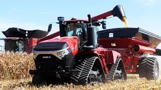 Case IH AF10 Combine Harvesting Corn with 16-Row Corn Head