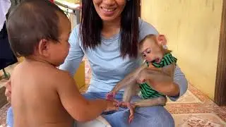 wear dresses for baby monkey Mary