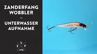 Zanderfang Wobbler: Unterwasser-Aufnahme