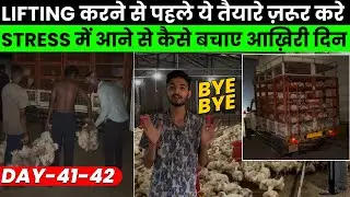 Ec Poultry Farm 10000 Chiks Finally Lifting Day,Poultry Business Plan