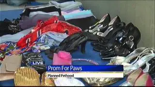 Prom for Paws benefits needy animals in Northwest Ohio