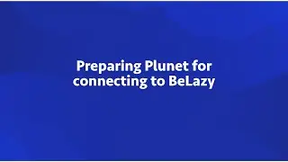 Preparing Plunet for connecting to BeLazy