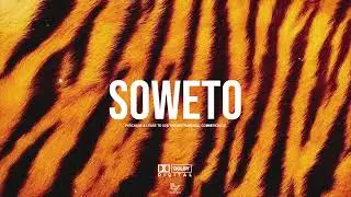 (FREE) | Rema x Burna Boy x Omah Lay Type Beat - ''SOWETO'' | Afrobeat Type Beat 2025