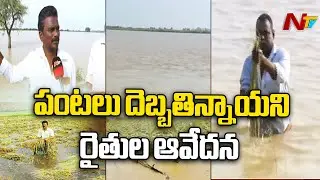 బాపట్ల జిల్లా పర్చూరులో నీట మునిగిన పంటలు | Parchur, Bapatla District | NTV Telugu