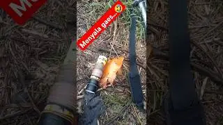 Nila merah#maser ikan nila#maser mujair#fishing#mancingmania#pasermaniaikangabus#fishing#jaringikan