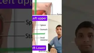 Abdomen pain #petdard #shorts #viralvideo
