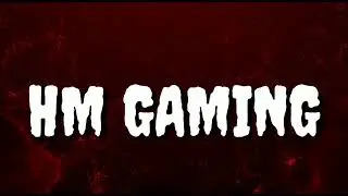 #HM Gaming