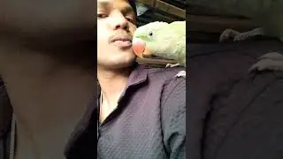 mithu beta😊👀💥 #automobile #love #bollywoodmusic #hindisong