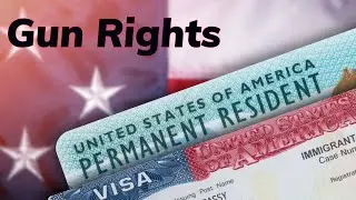 Do Noncitizens Have Gun Rights?