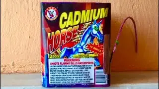 CADMIUM HORSE 16 SHOT 200g BY WINDA FIREWORKS