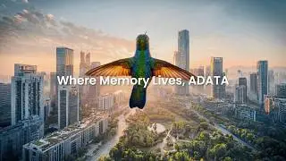 Where Memory Lives, ADATA
