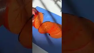 Discover Material Kitchen on TikTok Shop, and learn more about Eunice's story and top viral products