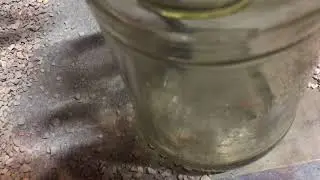 Fuel Pump Test 2-7-18