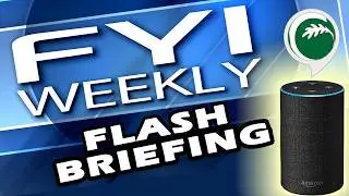 FYI Flash Briefing February 16, 2026