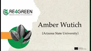Interview with Amber Wutich - Re4Green Project