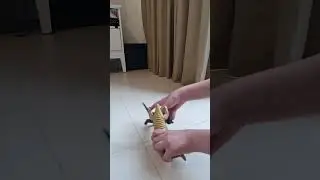 Red King vs Bemular