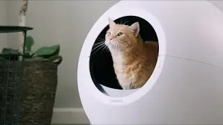 Top 5 Best Smartest Self Cleaning Pet Litter Box