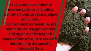 ISOLATION AND ENUMERATION OF BACTERIA FROM SOIL