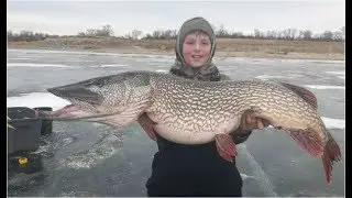 This 11 Year Kids catches monster fish - Videos compatible
