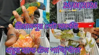 Current Exotic Birds Price Update 🦜 Shrirampur Pet Market 🐦25/01/2026. প্রচুর হ্যান্ড টেম পাখি/খাঁচা
