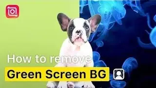 How to Remove Green Screen in INSHOT App | Soloking AR