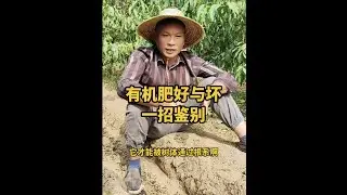 鉴别商品有机肥技巧 #果树种植 #秋施基肥 #有机肥