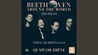 String Quartet No. 12 in E-Flat Major, Op. 127: I. Maestoso - Allegro