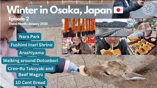 Winter in Osaka, Japan Episode 2 🇯🇵 - Nara Park, Fushimi Inar i, Arashiyama, Dotonbori Foodtrip 🐙