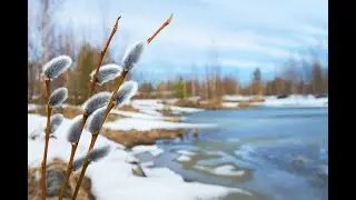 НИВА, весна!