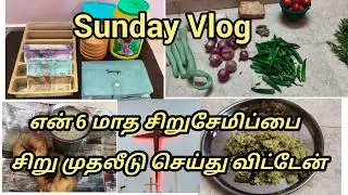 Small Investment of My Six Months Small Savings and Sunday Vlog