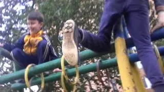зомби апокалипсис в ряльной жизни