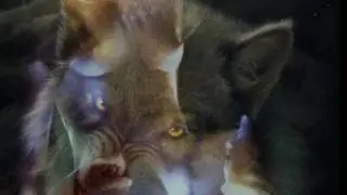 До Содома далеко