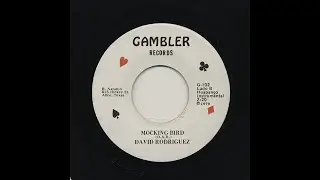David Rodriguez - Mocking Bird - Gambler Records g-102-b