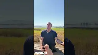Лебедь-трубач в резервации Флэтхед в Монтане