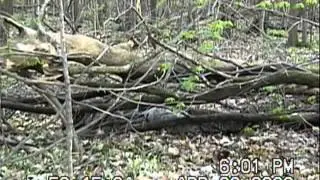 Camouflage Hide 2008 - Nomad Outdoors & onPoint Tactical